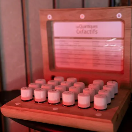 Le Sorbier - Et D'hotes 4* マルメディ